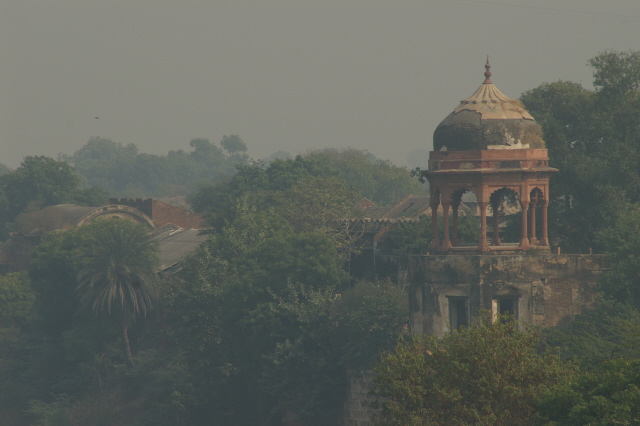 agra2.jpg