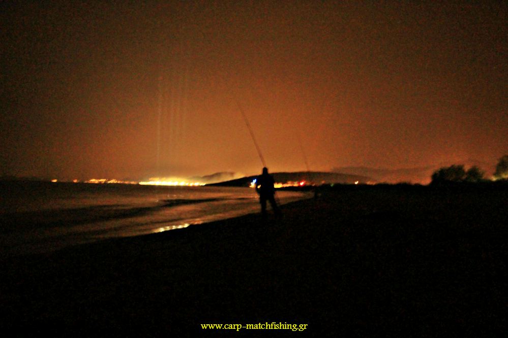 paralia night casting