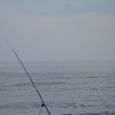 DSC07361
