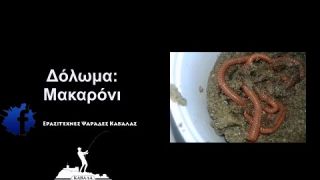 Δόλωμα: Μακαρόνι-Τριχιά